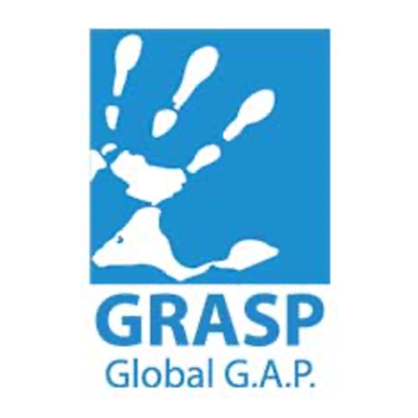GRASP - Logo