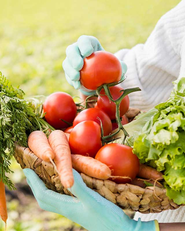 Produzione costante - Gruppo Brunelli